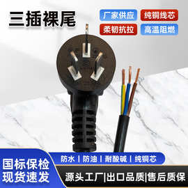 CE认证三3芯三插电源线大功率10A纯铜全铜带插头单头裸尾连接线