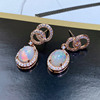 s925 manual make Female sex Opal Set Earrings temperament Earrings Jewellery jewelry new pattern wholesale