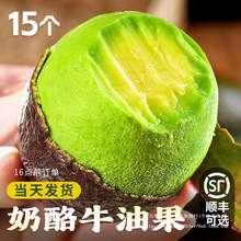 牛油果大果新鲜水果当季整箱包邮熟透即食鳄梨奶油秘鲁进口