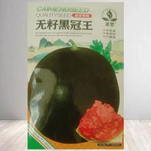 无籽西瓜种籽黑皮红瓤无籽西瓜种子特大超甜巨型无籽黑冠王西瓜