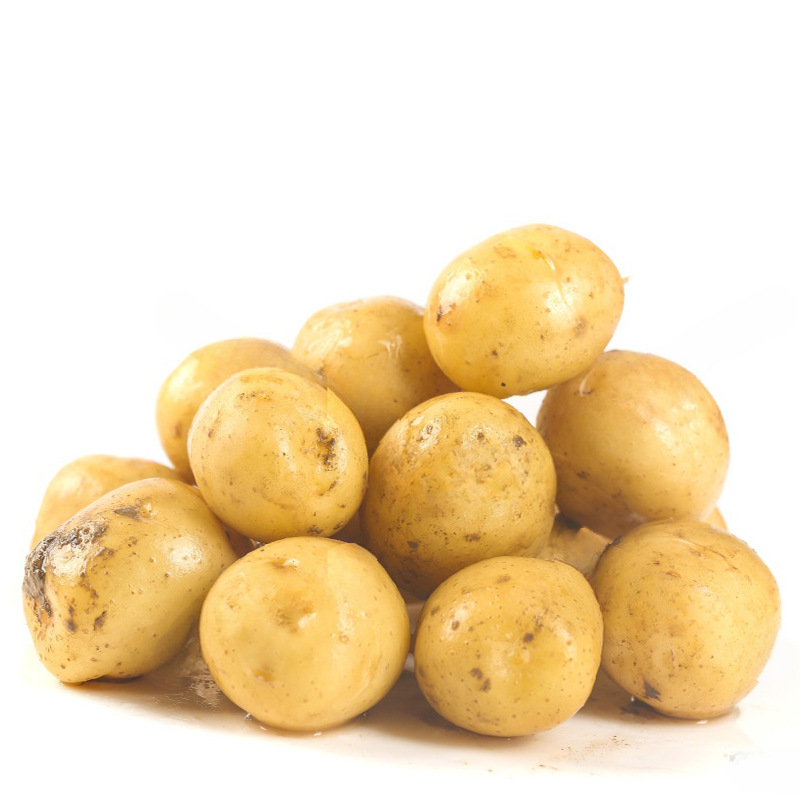 湖北现挖恩施富硒小土豆新鲜黄心土豆批农家自种洋芋马铃薯粉糯好