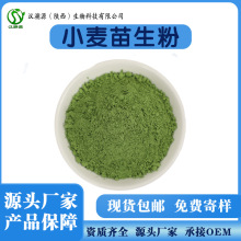 小麦苗生粉食品级小麦苗粉小麦草粉80200目喷雾干燥小麦苗生粉