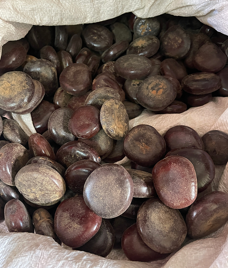 中药材阴阳子可搭配风流果阴阳子双肾子泡酒药材过江龙子木腰子