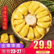【海南直发】菠萝蜜一整个新鲜批发价孕妇当季热带水果波罗蜜包邮