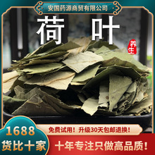 荷叶中药材新鲜荷叶干片河叶何叶粒茶批发泡茶喝的500克搭山楂干