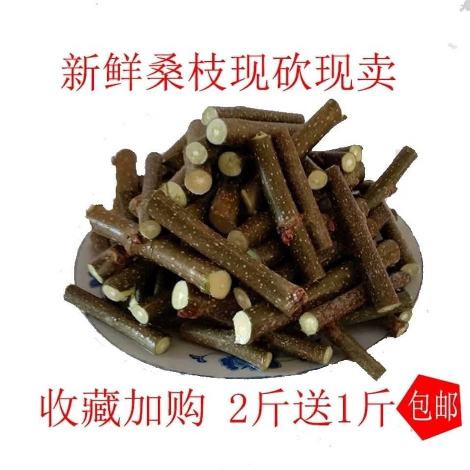 桑树枝条新鲜现采桑椹枝桑木棍中药材食用桑枝2份包邮泡脚桑枝
