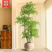 花树落地南天竹仿真绿植客厅装饰摆件盆栽奢假仿生室内大型高端轻