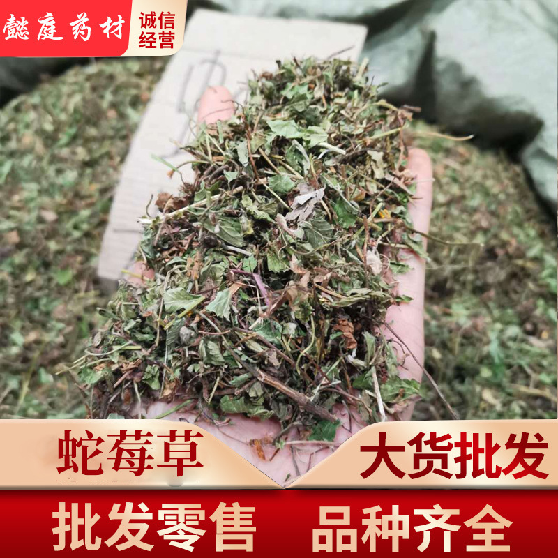蛇莓草中药材蛇盘草蛇泡草蛇莓实图拍摄一手货源