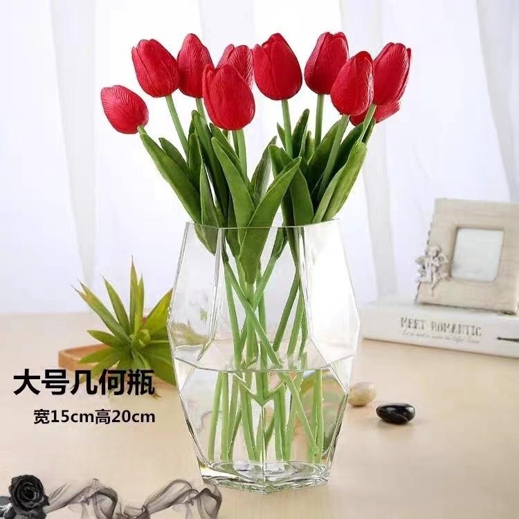 Nordic Simple Creative Geometric Glass Vase Hydroponic Flowers Dried Flower Vase Living Room and Dining Table Decoration Ornaments