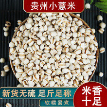 贵州新货大薏米500g薏仁米仁农家大薏米红豆芡实赤小豆五谷杂粗粮