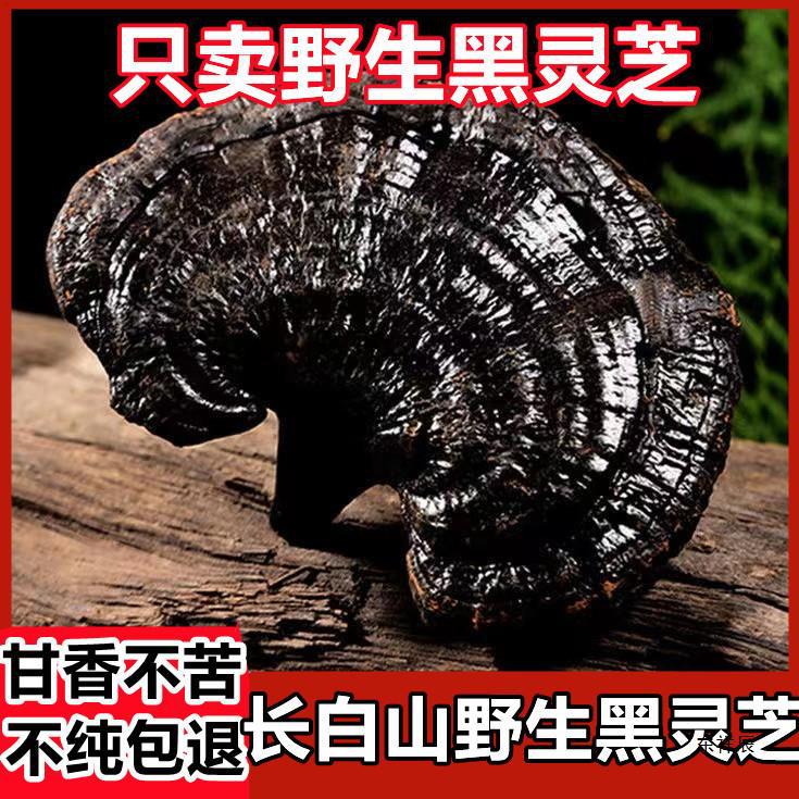 长白山野生灵芝 灵芝切片 黑灵芝500g林芝干货泡酒灵芝养生茶