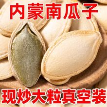 舌绝2023新货大粒南瓜子原味焗椒炒货坚果零食批发生熟南瓜籽