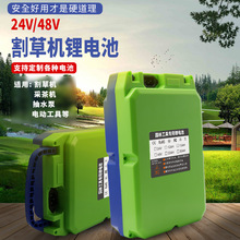 24v背包式园林工具绿篱机电池割草机采茶机48V大容量动力锂电池组