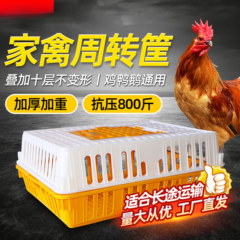 鸡笼子家用养殖周转箱家用大号加厚防摔运输塑料鸡笼长方形大清仓