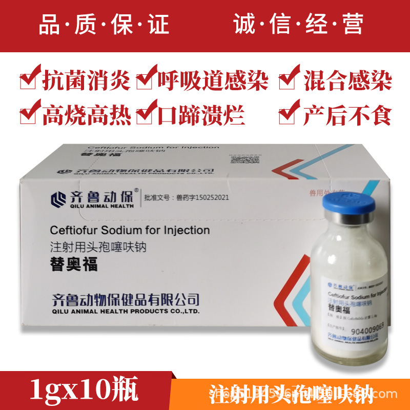 齐鲁替奥福注射用头孢噻呋钠兽药猪牛羊兽用消炎母猪产前产后退烧