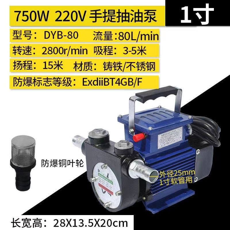 DYB-80 Portable Explosion-Proof Electric Pump 220V Large Flow Self-Priming Methanol Gasoline Diesel Petrol Pump