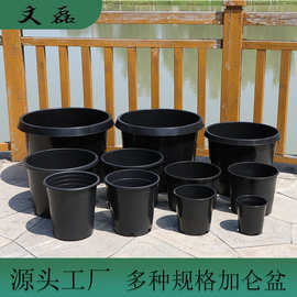 工厂直供加仑盆 圆形大号多规格黑色落地塑料花盆矮胖加仑盆 批发