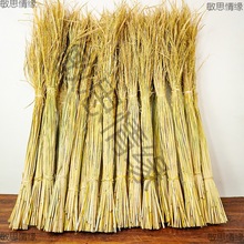 干稻草禾杆草谷草水稻杆子兔子窝稻草杆稻草绳扎肉鸽子捆扎肉绑粽