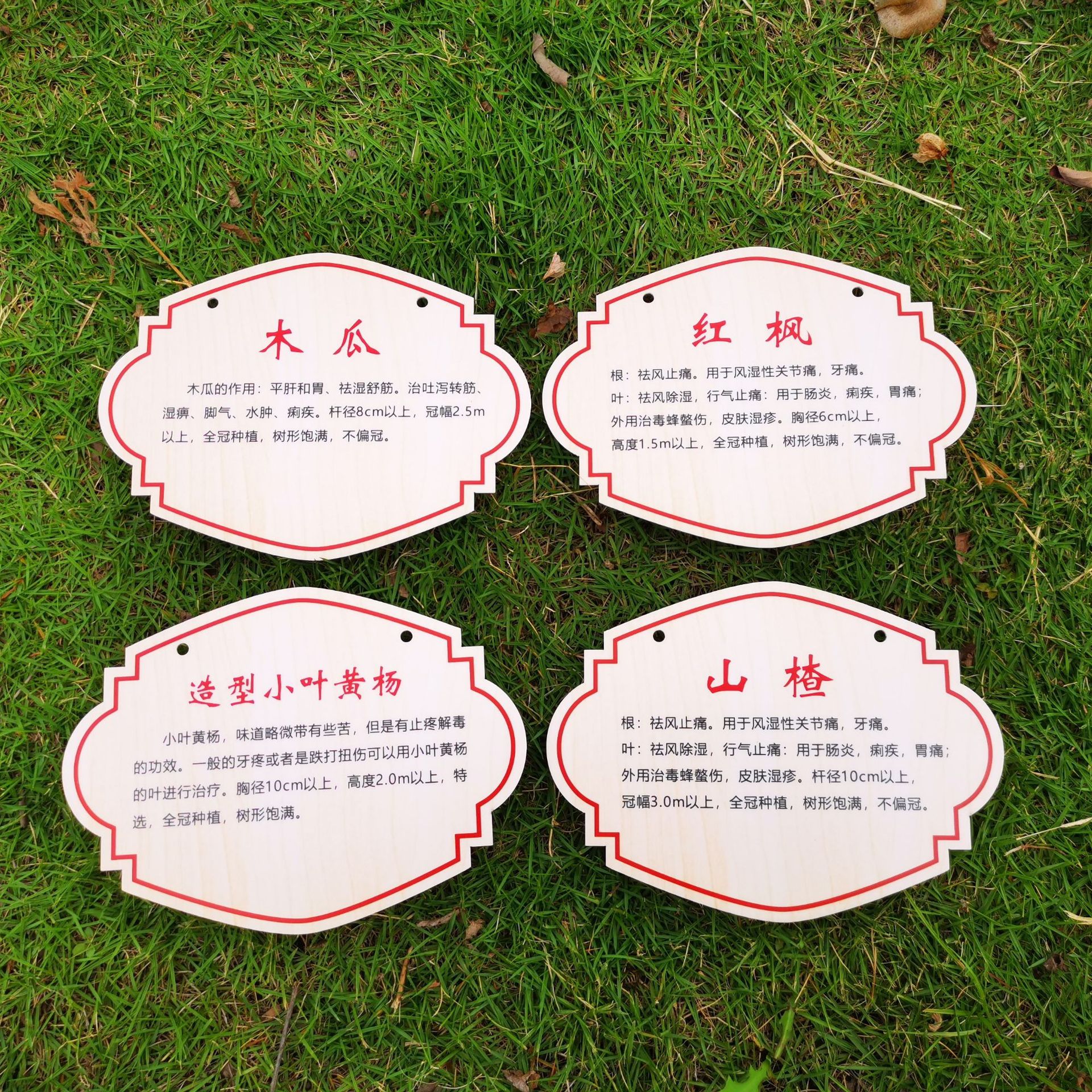 印刷激光切割古树园林花草牌果树植物树牌 树牌透明亚克力标牌