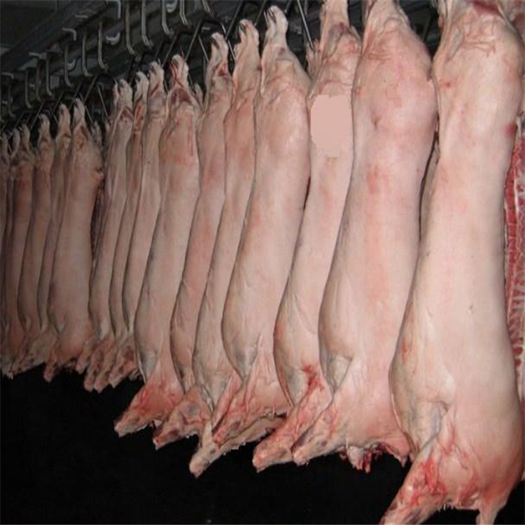 牛羊肉排酸冷藏库鲜肉冷库猪肉排酸保鲜库肉联厂冷鲜肉处理