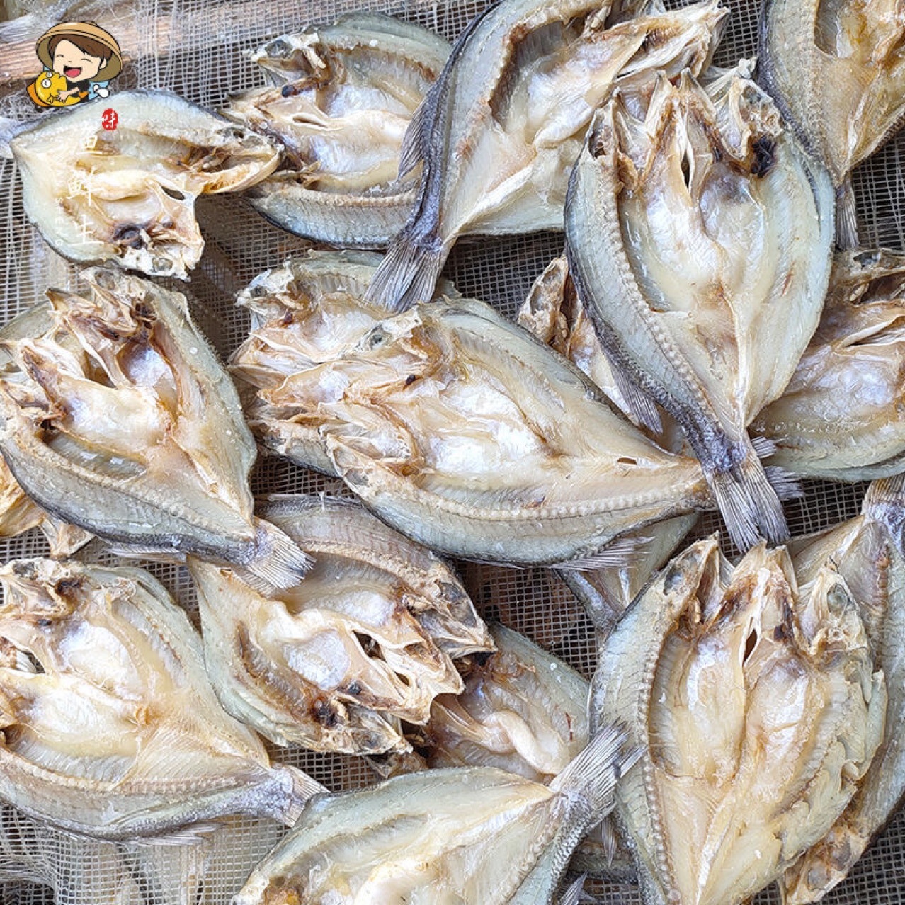 鲈鱼干 跑江湖展会地摊深海鲈鱼干开边鲈鱼干干鱼海产品干货