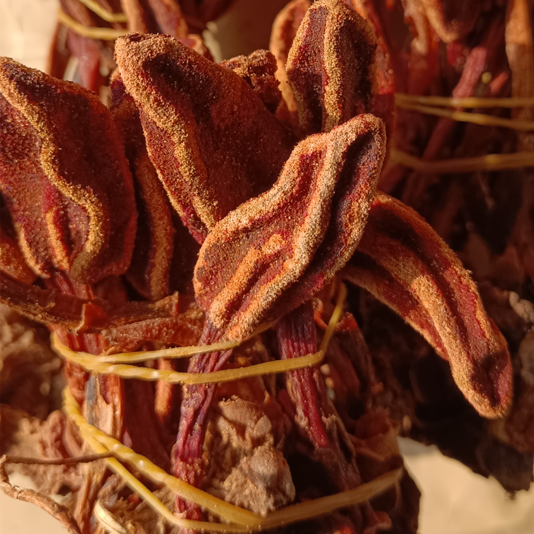 云南回春草 中药材草苁蓉整颗无碎不老草顶天柱泡酒料 回春草干货