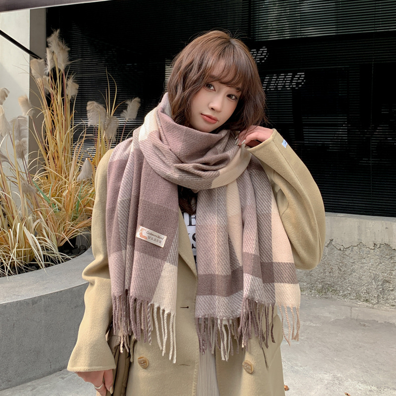 Korean Style New Wool Plaid Scarf Tassel Female Autumn Winter Couple Warm Wholesale Scarf Cashmere-like Student Shawl