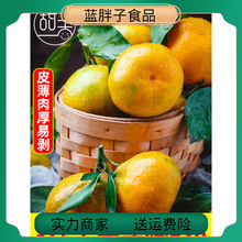 橘子新鲜10斤特早熟蜜桔薄皮青绿皮酸甜桔子应当季时令孕妇水果