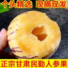 【汁多肉厚】【甘肃民勤人参果】特大果10斤黄肉人生果长果圆果新