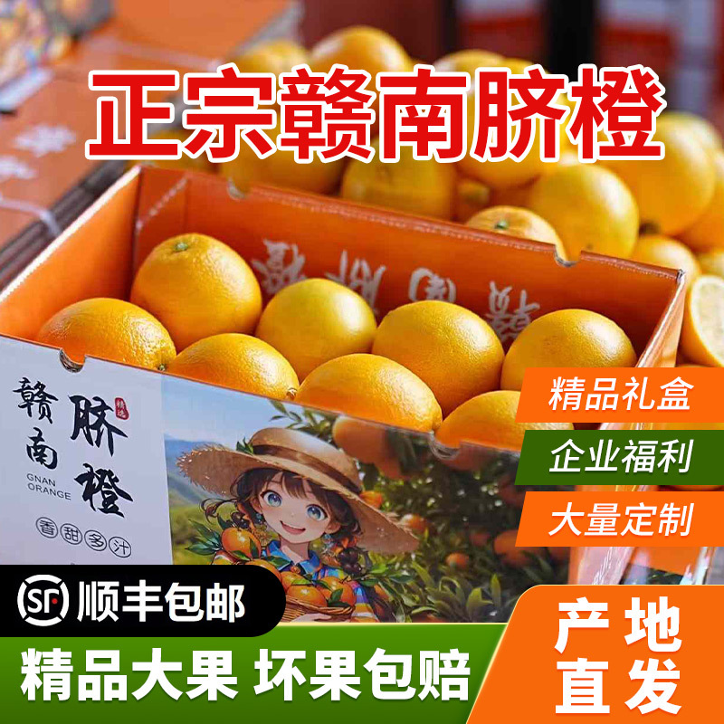 2024新鲜上市赣南脐橙5斤10斤20斤应季水果代发批发直供顺丰包邮