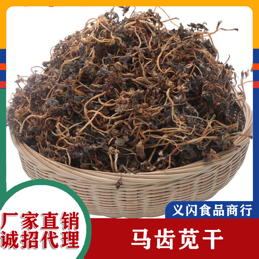 马齿苋菜干马齿菜马苋菜蚂蚁菜长寿菜蚂蚱菜马菜干五行草新鲜
