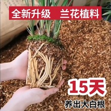 兰花专用种植土新植料疏松透气君子兰石斛蝴蝶兰杉木屑通用营养土