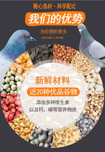 鸽子食粮玉米粒杂粮鸟食专用饲料豌豆营养高粱信鸽赛鸽5到打贸易