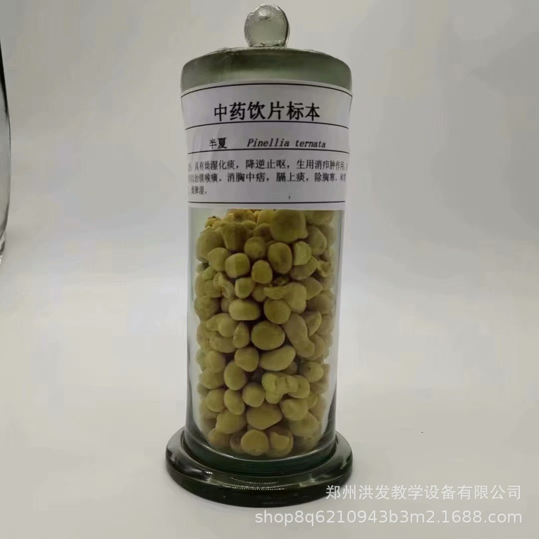 标本馆配套个货 饮片 生药标本 参观教学中药材标本-阿里巴巴