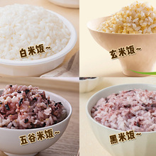 速食米饭韩国方便米饭加热即食免煮黑米饭玄米五谷米饭白米饭