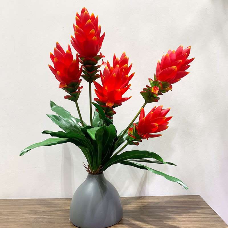 新品上市鸿运当头植物墙配材仿真水塔花开业典礼装饰火炬花超逼真