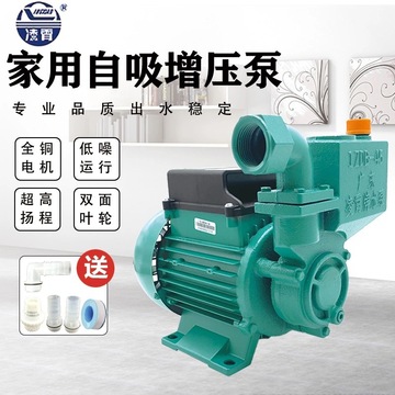 凌霄1zdb35/45/65水泵家用自吸水泵高扬程增压泵自来水井农用泵