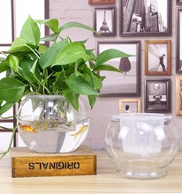 创意桌面水培瓶植物透明玻璃花瓶绿萝花盆鱼花共养缸水养摆件器皿