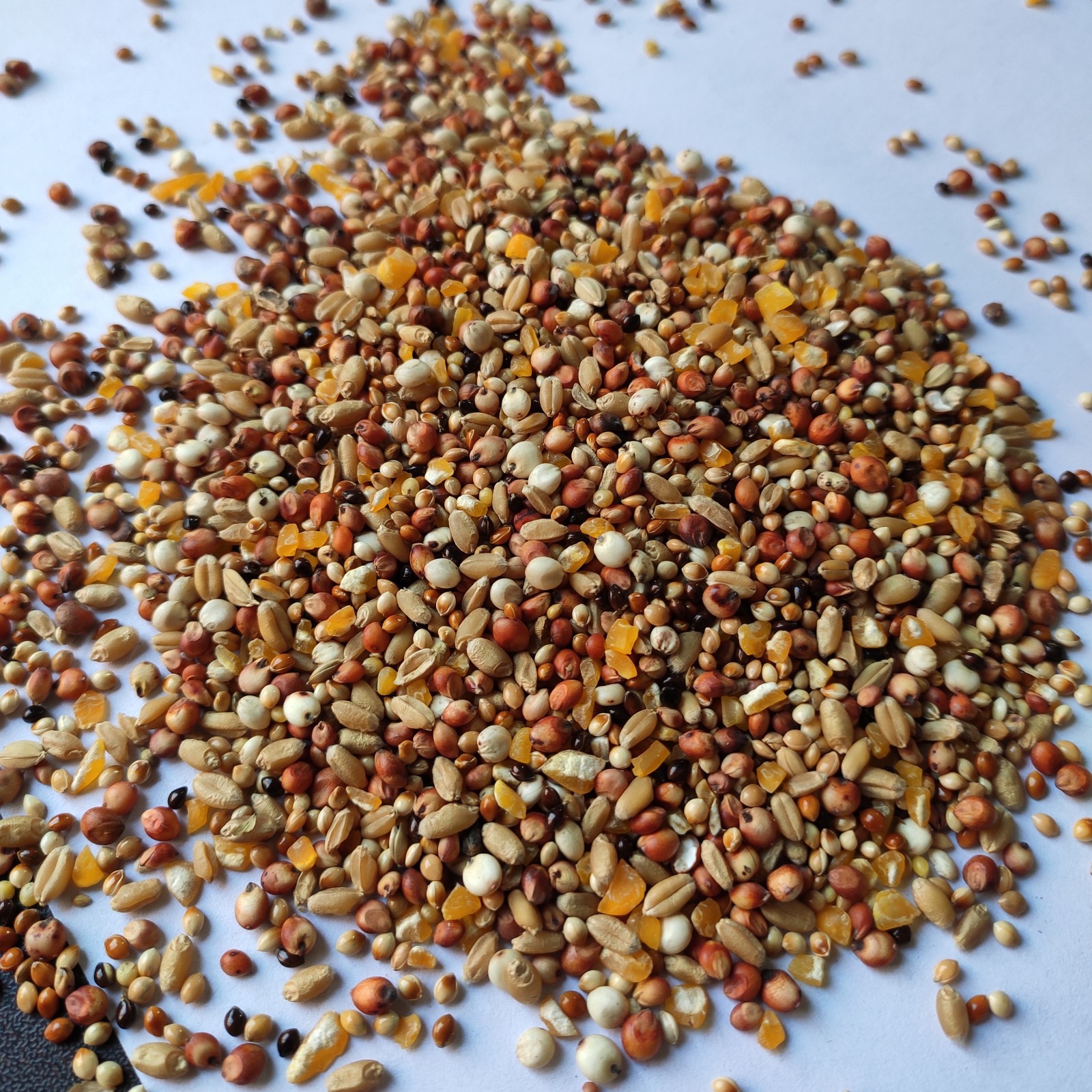 斑鸠粮竹鸡粮山鸡粮鸡饲料斗鸡粮仓鼠粮4合1鸽粮鸟食饲料5斤包邮