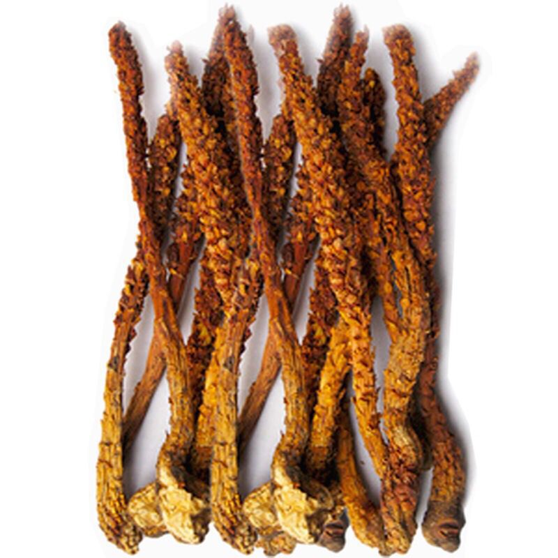 东北  长白山野生不老草 草苁蓉 泡酒 泡茶 列当 回春草 包邮