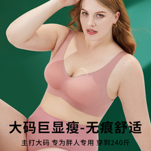 新款2023大码内衣无钢圈文胸女小胸聚拢无痕收副乳运动内衣背心式