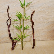 刺身海鲜姿造摆盘装饰树根枝根雕创意摆件竹子造型青叶竹