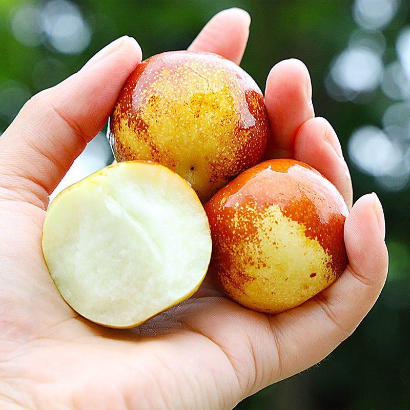 冬枣大荔水果新鲜枣子应季批发脆甜一整箱孕妇沾化1/5斤一件批发