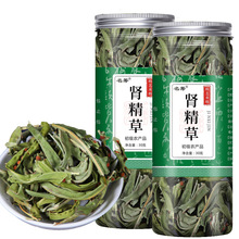 化石茶化石草肾精草茶泡水喝中药材猫须草茶大货批发化石草