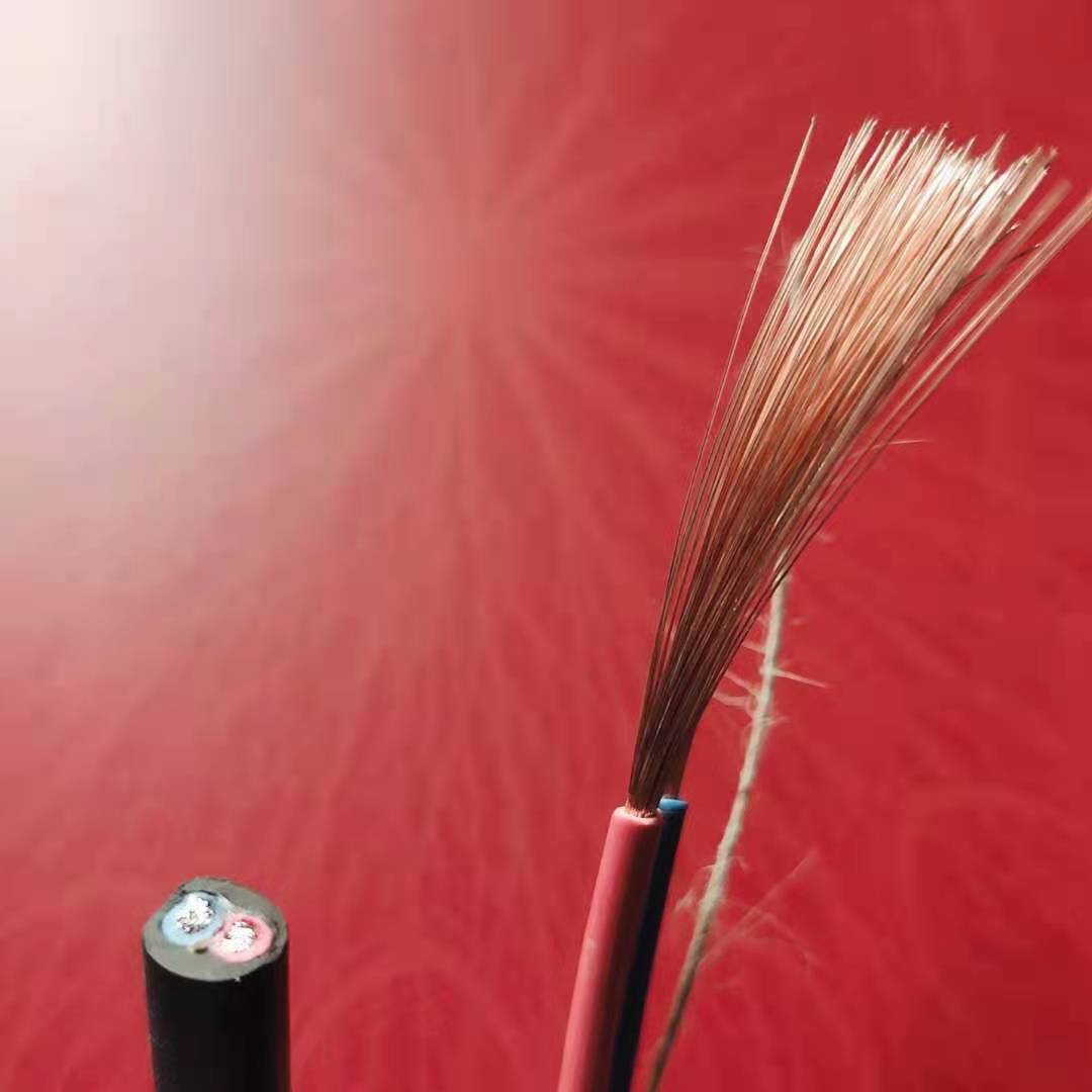 厂家爆款直销2x2.5平方铜包铝电线 插座插排电源连接线护套电缆线