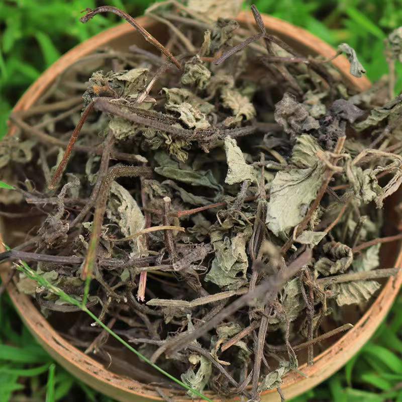 仙草凉粉草 神仙草 干仙草 仙人冻 仙草干烧仙草产地货源量大从优