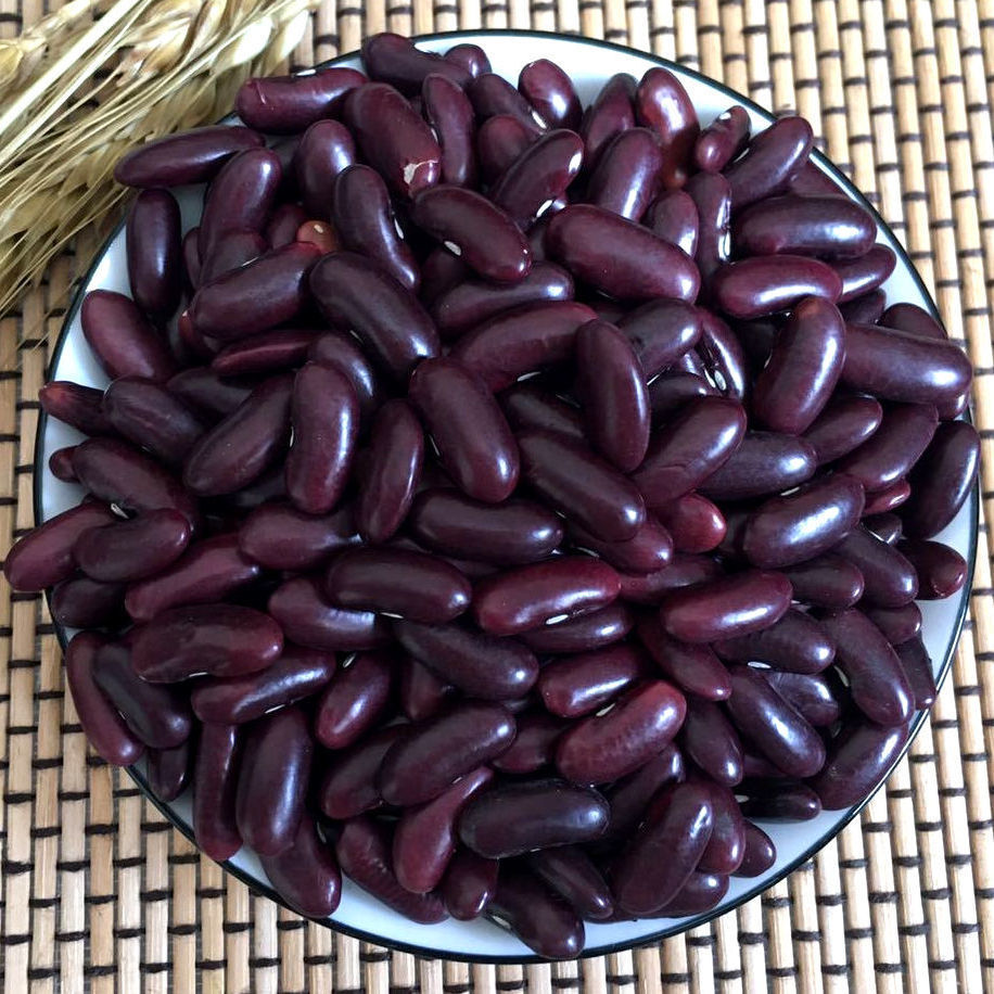 装紫芸豆1斤5斤红腰豆肾豆大芸豆五谷杂粮大红豆熬粥焖饭煲粥