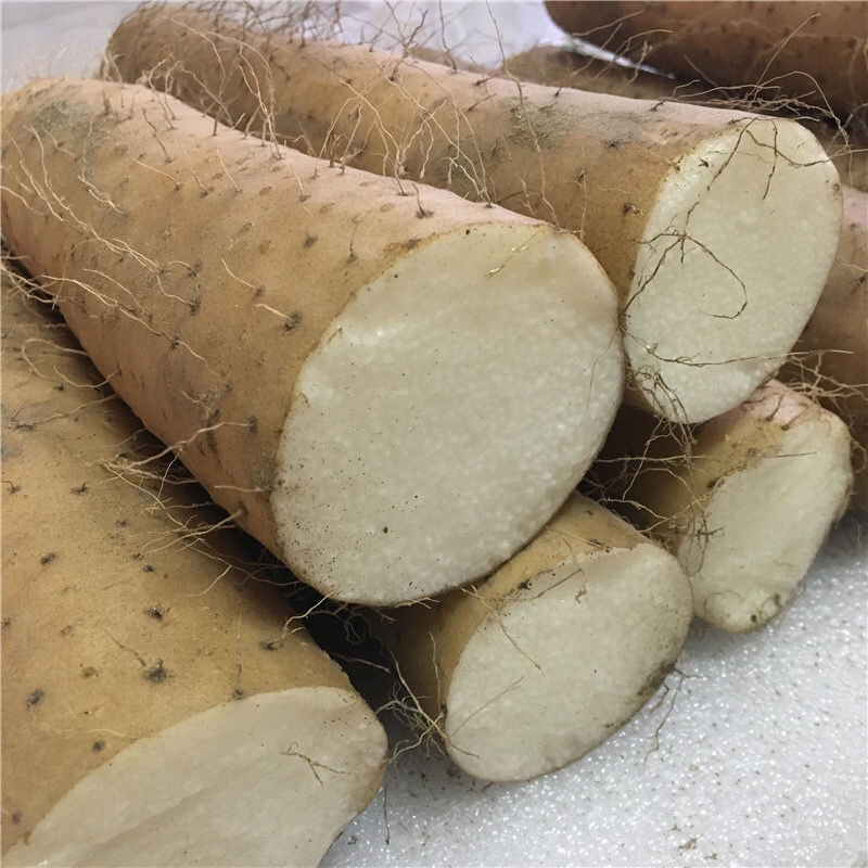 淮山脆山药湖北襄阳脆山药新鲜菜山药淮山药粗山药大山药3/5斤