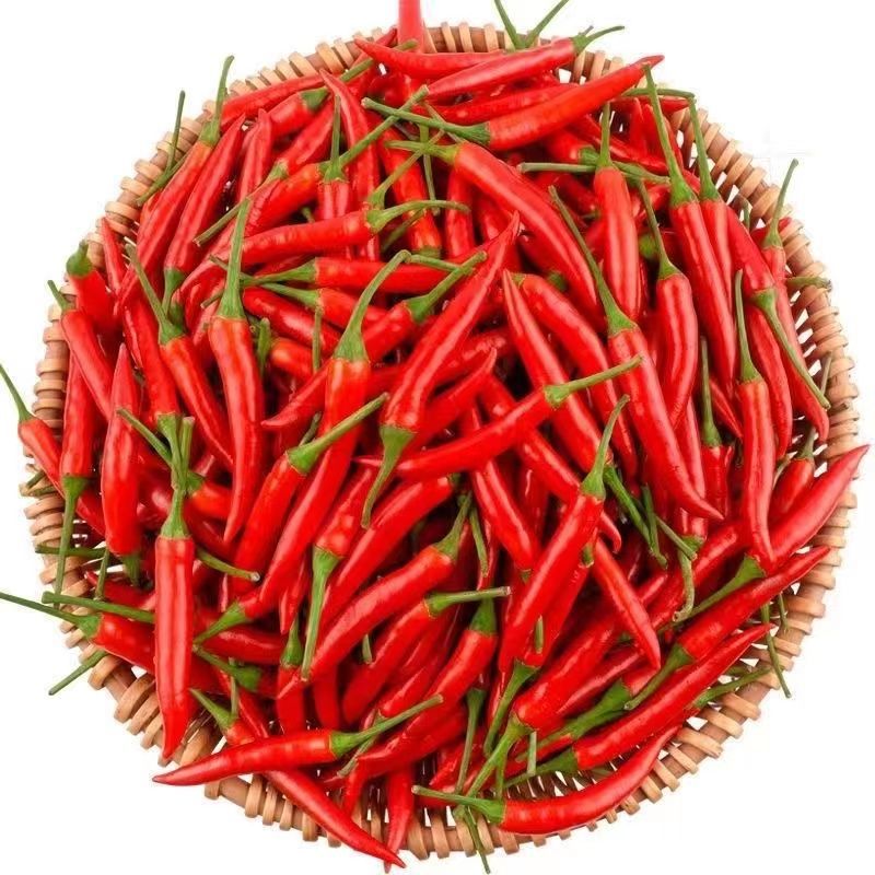 新鲜小米椒特辣小米辣鲜椒朝天椒红辣椒指天椒泡椒红辣椒产地直发