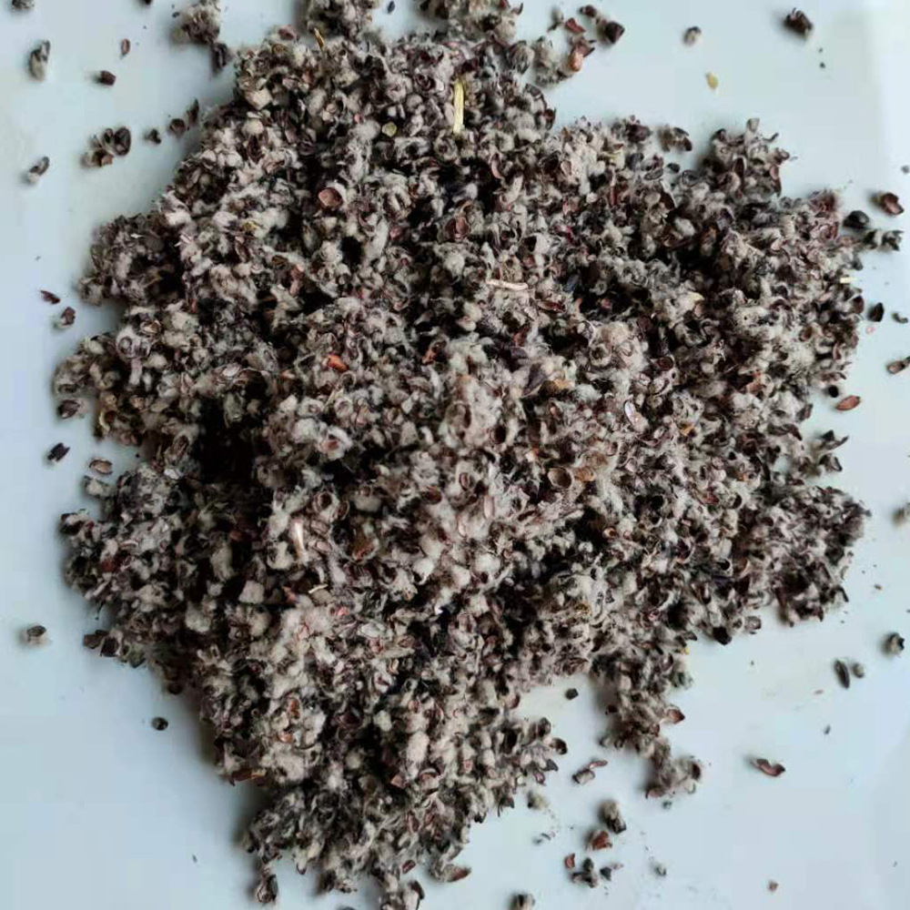 供应棉籽壳 大棚培育棉籽壳食用菌栽培料棉籽壳菌类植物平菇木耳